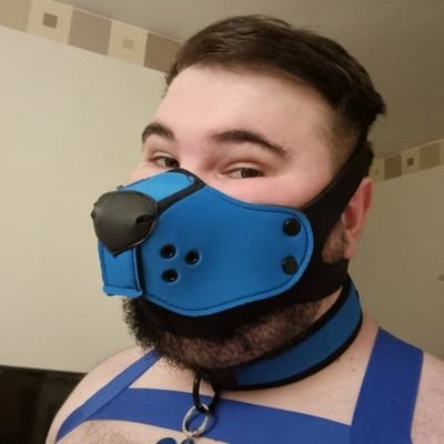 pupcryff's profile picture