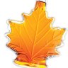 TheCanadianSplash profil fotoğrafı