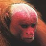 Profilbild von Antonius
