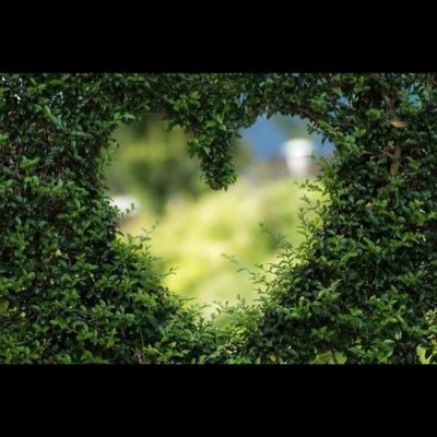 ummjuneyd's profile picture