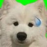 爱吃巧乐兹's profile picture