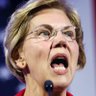 DUMB - Dems Unhinged to Maintain Boondoggles 的头像