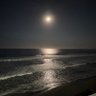 Womp Womp profil fotoğrafı