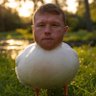 HaymonzPlanet profil fotoğrafı