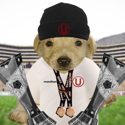 Universitario de Deportes Shitposting's profile picture