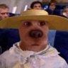 Juan's profile picture