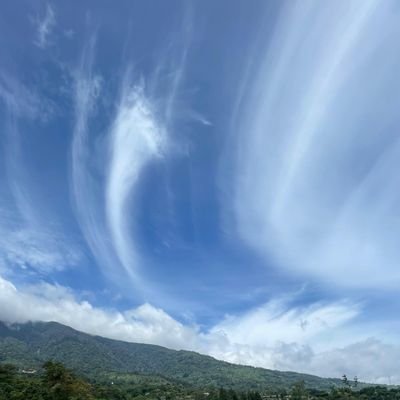 proGPranowo's profile picture