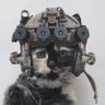 Known_Fed 's profile picture