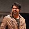 saalar rebel's profile picture