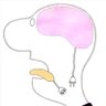 Profilbild von bel