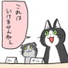 Profilbild von ダークきゃべつ