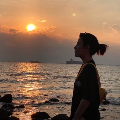 Alex 🩵🐰🐨 💛's profile picture