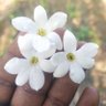 Vinothkumar Kuppusamy's profile picture