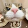 Peperoooooo 的头像