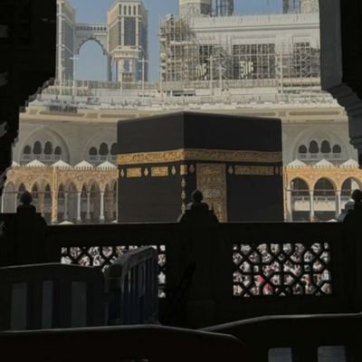 zyad405's profile picture