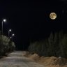 Фото профиля ابوفهد