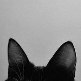 fav's profile picture