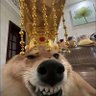 Profilbild von 晴天
