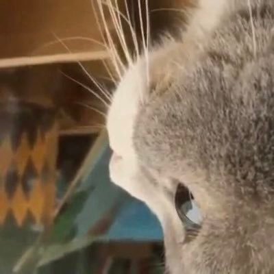 ลีโอสิบโลร้อย's profile picture