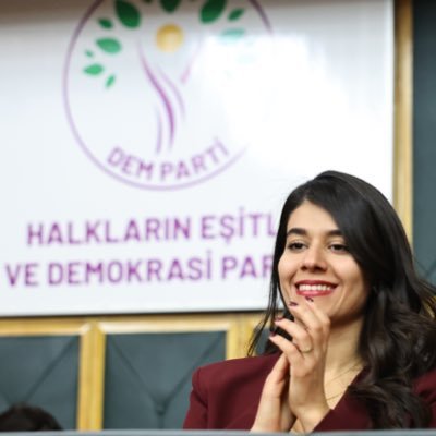 Beritan Güneş's profile picture