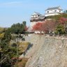 Фото профиля 土竜改め三滝の海蔵