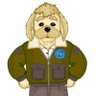 papa mochi's profile picture