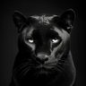 Фото профиля Desmond Palers