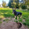 opa60 profil fotoğrafı