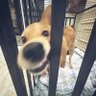 马元礼 的头像
