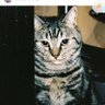 Min_ profil fotoğrafı