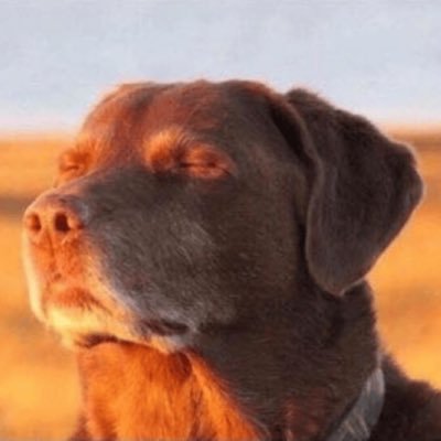 not BusinessWeek's profile picture