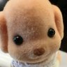 luci's profile picture