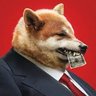Profilbild von DOGE Balls Matter