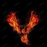 Phoenix profil fotoğrafı