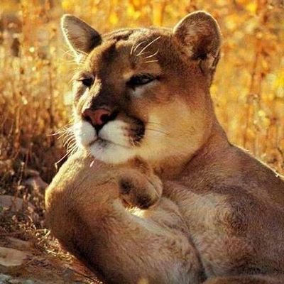 Marilu86053's profile picture