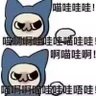 地瓜拿铁's profile picture