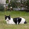 MTU-1987-TL profil fotoğrafı