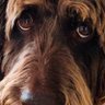 Profilbild von Graeme