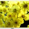 Фото профиля Kriss Bontemps