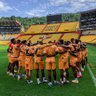 TribuNeroAmarillo⭐🏆16🇩🇪 的头像