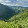 Фото профиля جمرة غضى