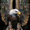 Nasser alnager's profile picture