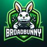 AerosBroadBunny's profile picture