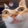 Profilbild von B.W.Nation