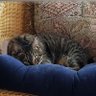 KiTTEn357 profil fotoğrafı