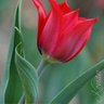 Фото профиля Neth Avlis