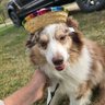 YooooGME's profile picture