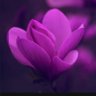 Фото профиля Lynn