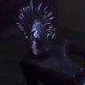 The Shädowmän's profile picture