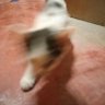 hyue profil fotoğrafı